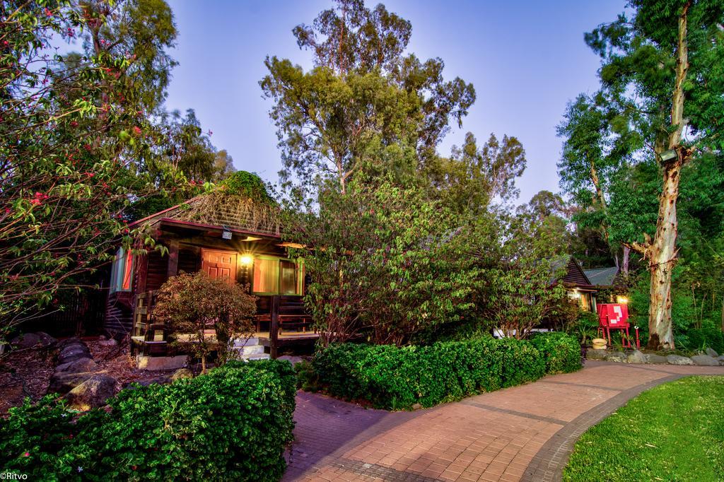 Olive Darius Resort Hof Golan Exterior foto