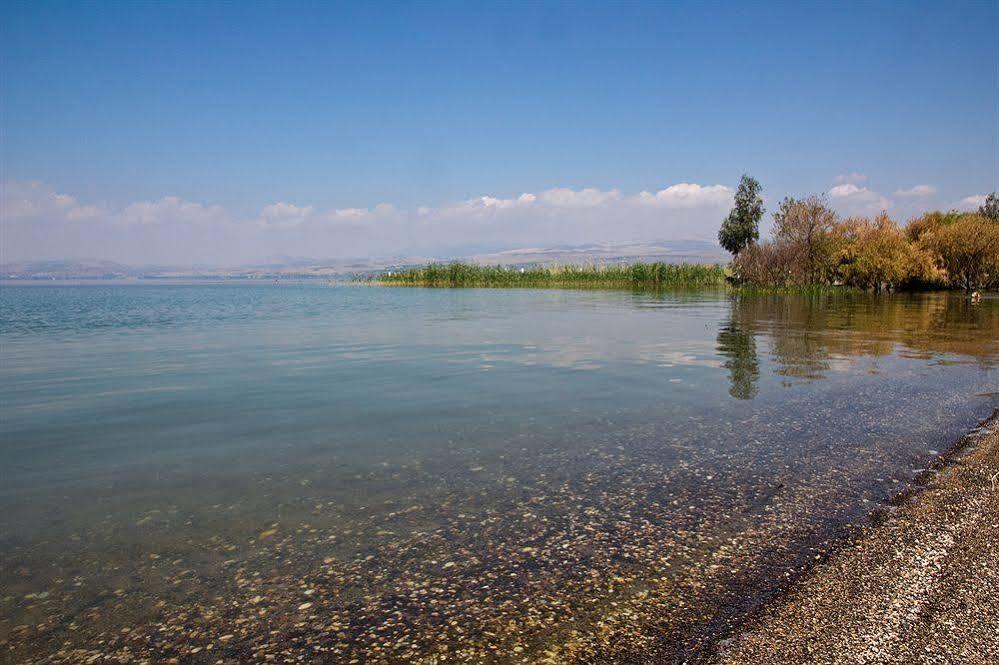 Olive Darius Resort Hof Golan Exterior foto
