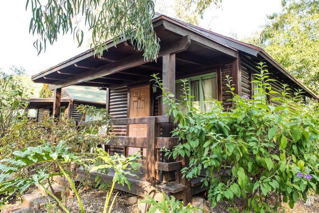 Olive Darius Resort Hof Golan Exterior foto
