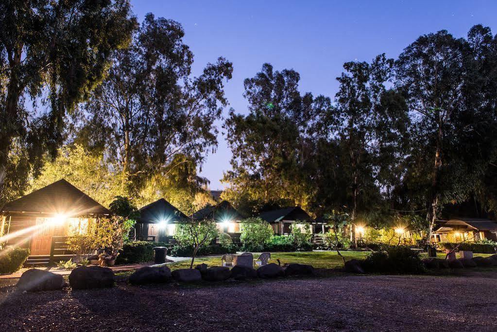 Olive Darius Resort Hof Golan Exterior foto