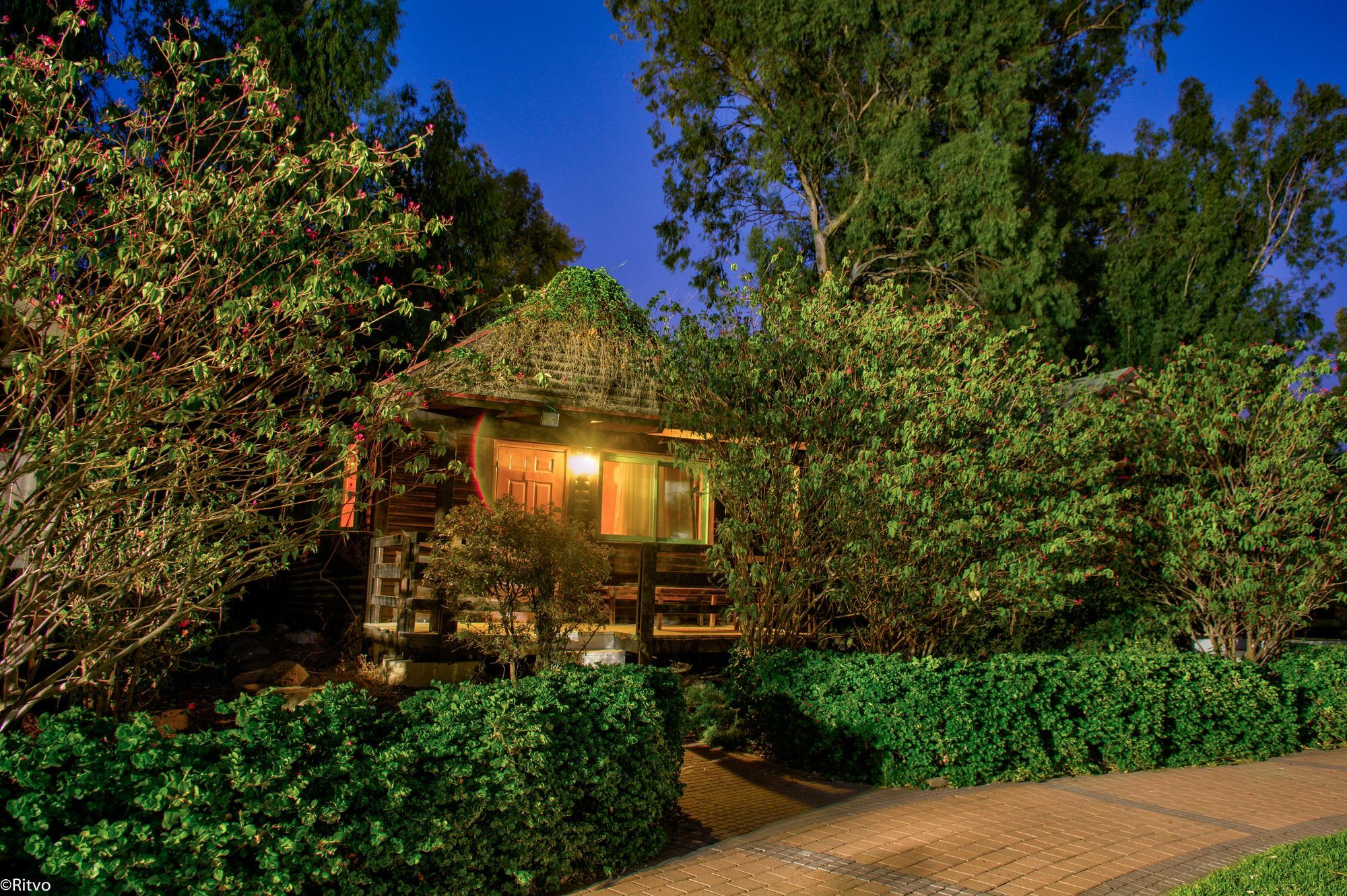 Olive Darius Resort Hof Golan Exterior foto